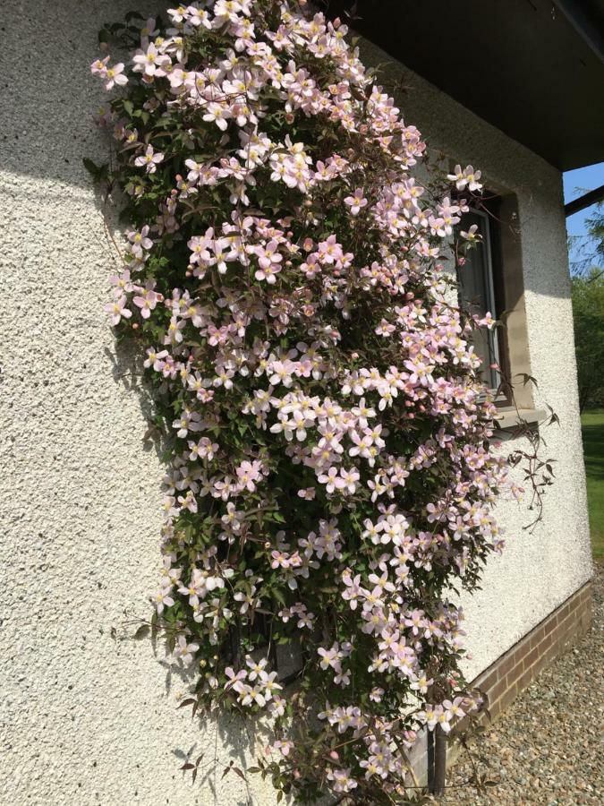 Heronlea Cottage Dunoon Dış mekan fotoğraf